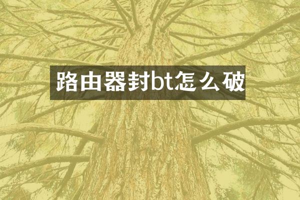 路由器封bt怎么破