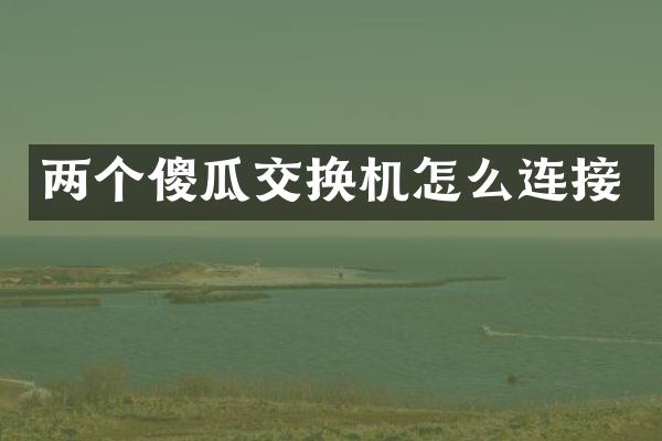 两个傻瓜交换机怎么连接