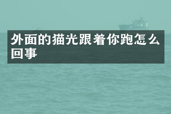 外面的猫光跟着你跑怎么回事