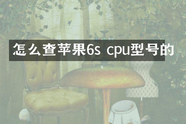 怎么查苹果6s cpu型号的