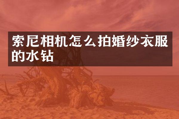 相机怎么拍婚纱衣服的水钻