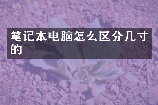 笔记本电脑怎么区分几寸的