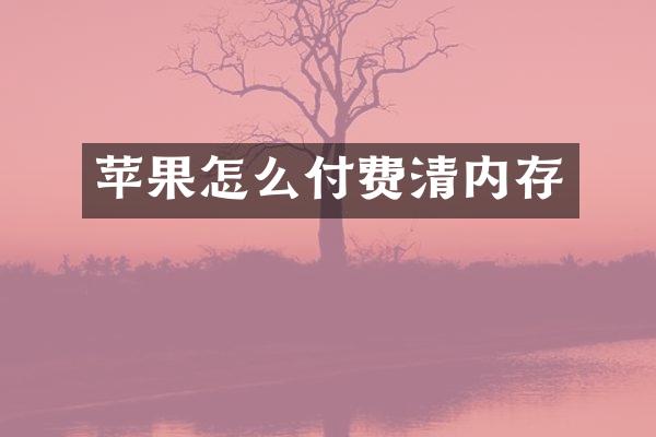 苹果怎么付费清内存