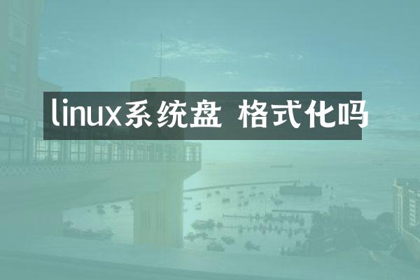 linux系统盘 格式化吗
