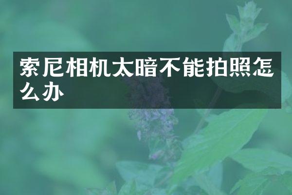 相机太暗不能拍照怎么办