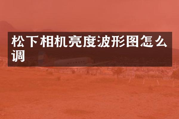 松下相机亮度波形图怎么调