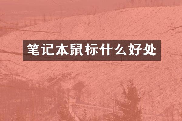 笔记本鼠标什么好处
