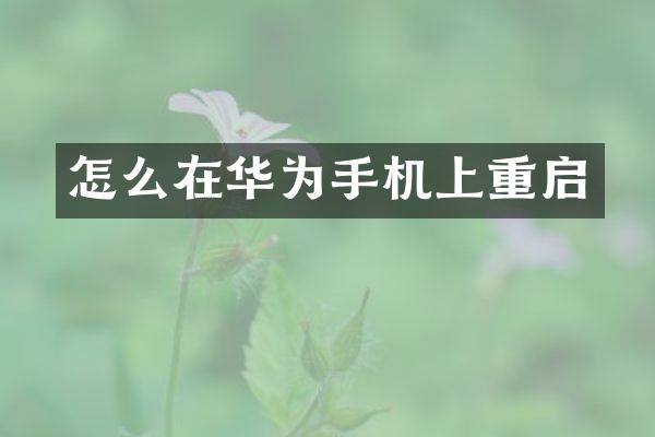 怎么在华为手机上重启