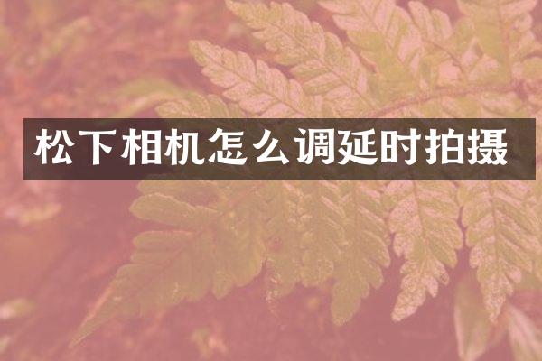 松下相机怎么调延时拍摄