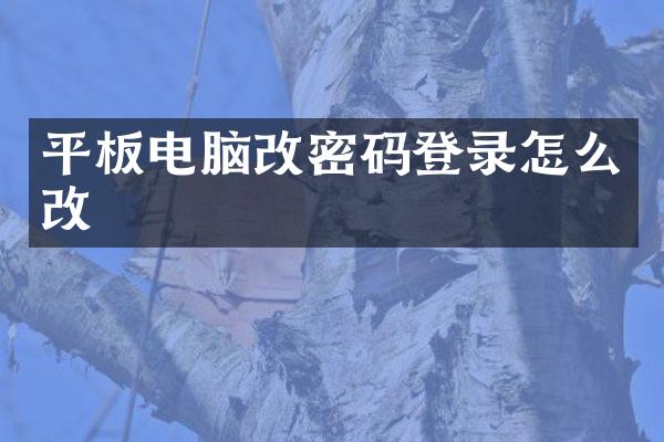 平板电脑改密码登录怎么改