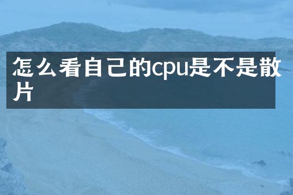 怎么看自己的cpu是不是散片