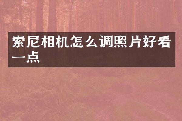 相机怎么调照片好看一点