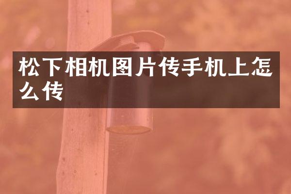 松下相机图片传手机上怎么传