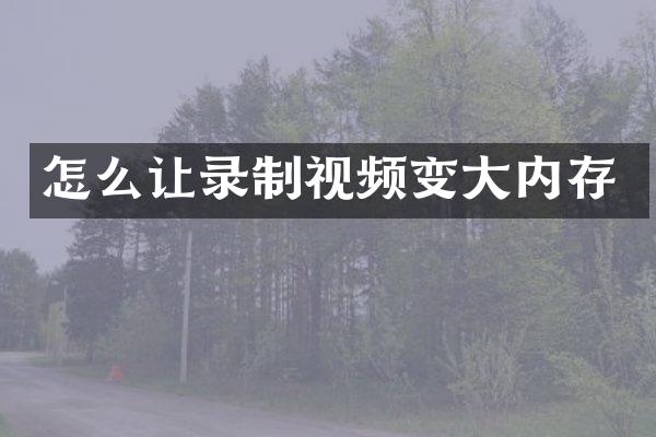 怎么让录制视频变大内存