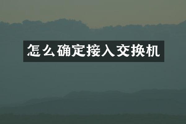 怎么确定接入交换机