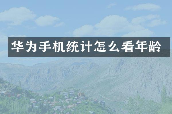 华为手机统计怎么看年龄