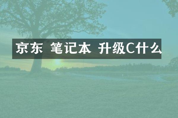 京东 笔记本 升级C什么