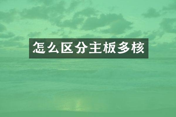 怎么区分主板多核