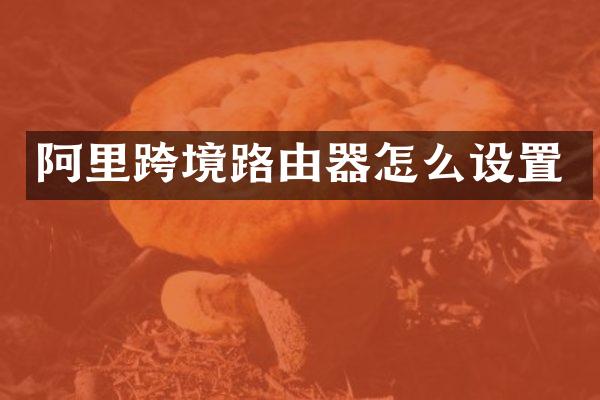 阿里跨境路由器怎么设置