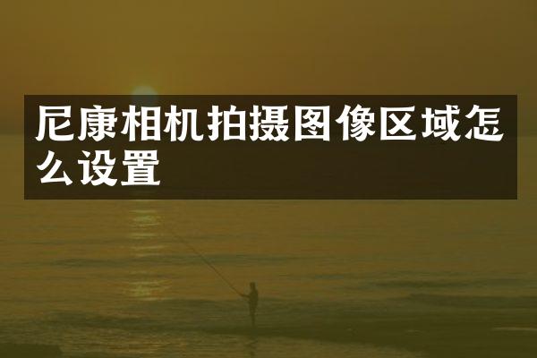 尼康相机拍摄图像区域怎么设置