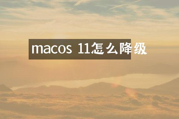 macos 11怎么降级
