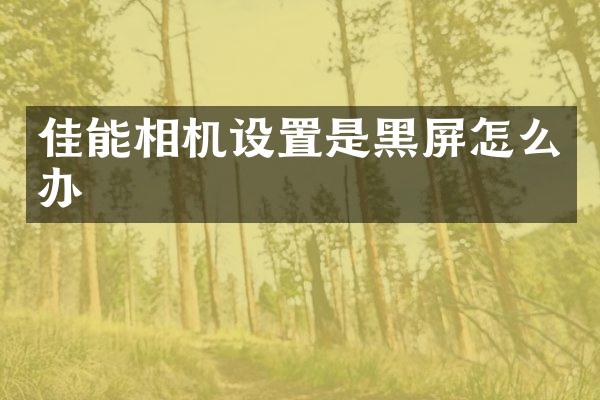 佳能相机设置是黑屏怎么办