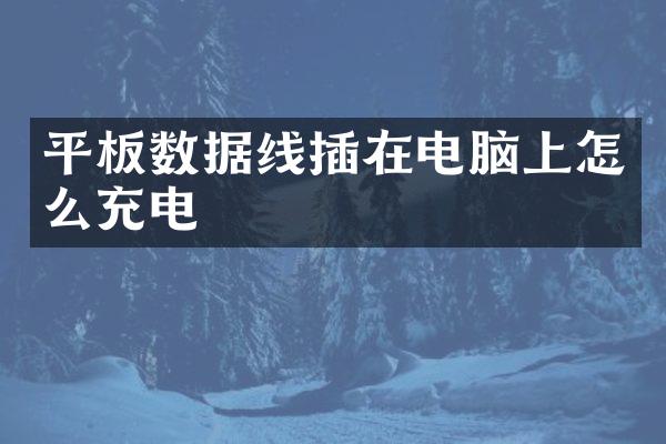 平板数据线插在电脑上怎么充电