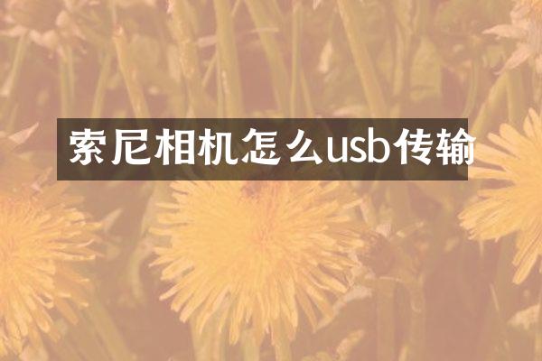 相机怎么usb传输