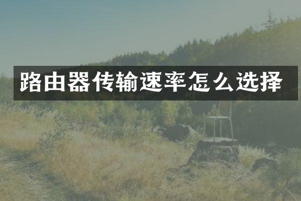 路由器传输速率怎么选择