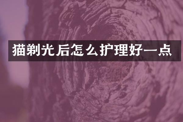 猫剃光后怎么护理好一点