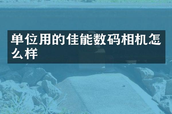 单位用的佳能数码相机怎么样