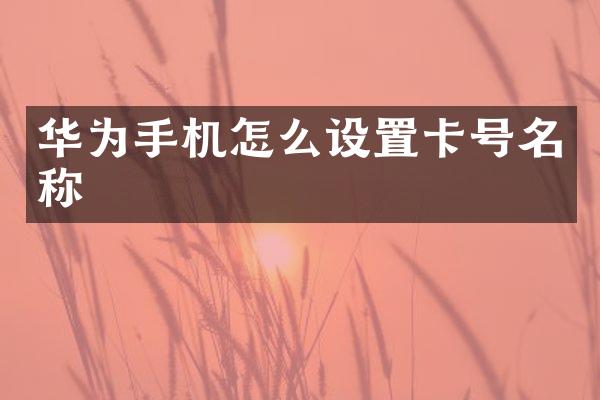 华为手机怎么设置卡号名称