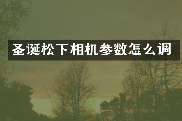 圣诞松下相机参数怎么调