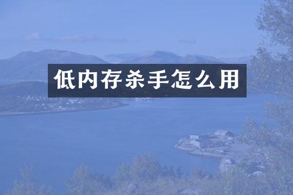 低内存杀手怎么用
