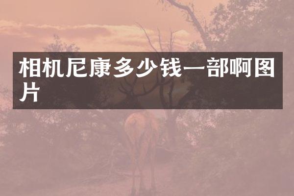 相机尼康多少钱一部啊图片