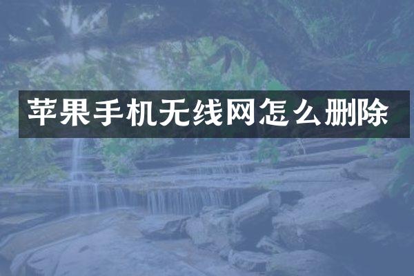 苹果手机无线网怎么删除