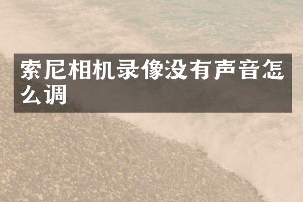 相机录像没有声音怎么调