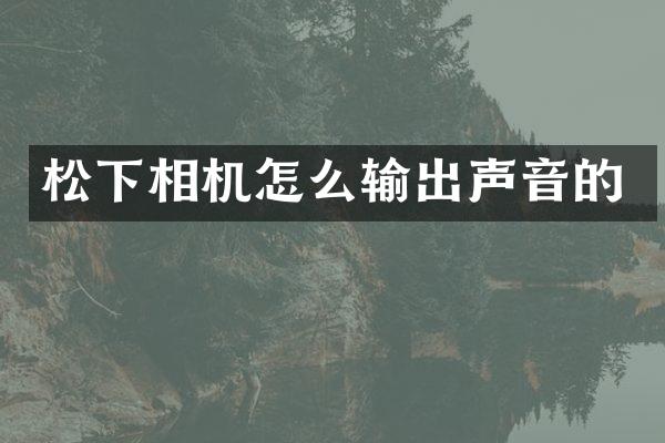 松下相机怎么输出声音的