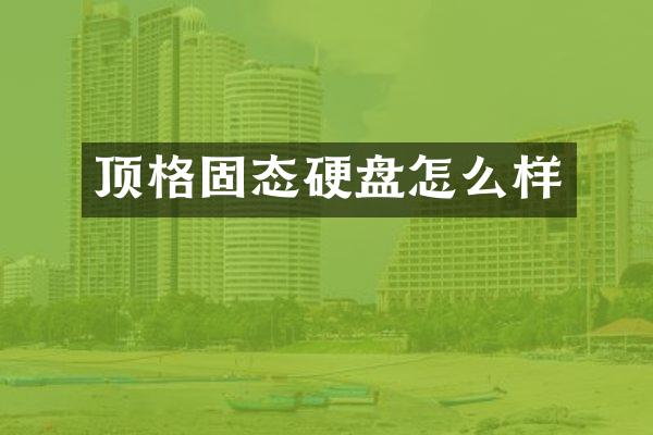 顶格固态硬盘怎么样