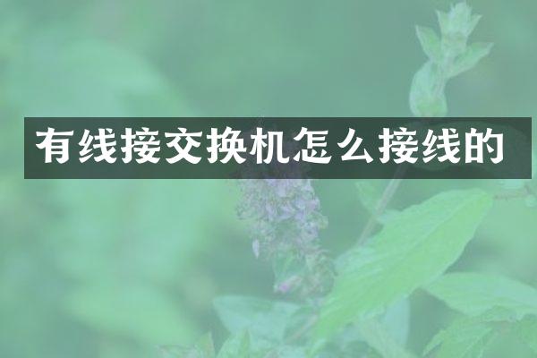 有线接交换机怎么接线的