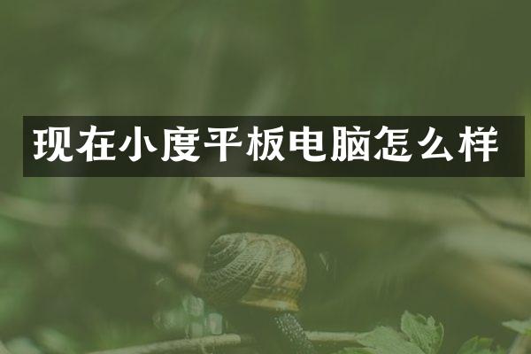现在小度平板电脑怎么样
