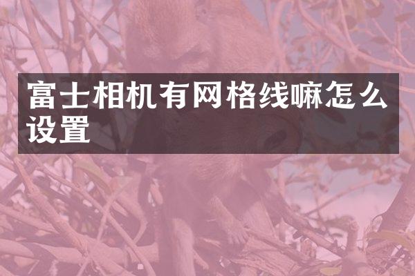 富士相机有网格线嘛怎么设置