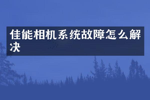 佳能相机系统故障怎么解决