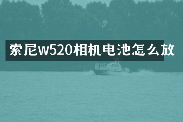 w520相机电池怎么放