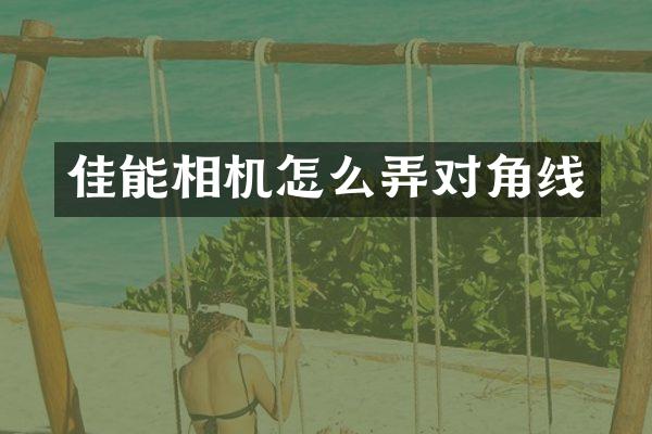 佳能相机怎么弄对角线
