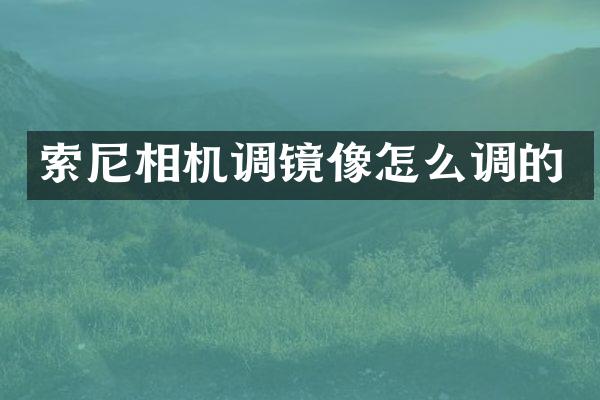 相机调镜像怎么调的