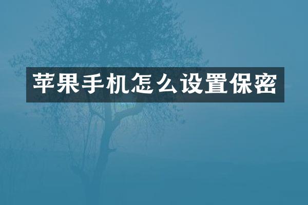 苹果手机怎么设置保密