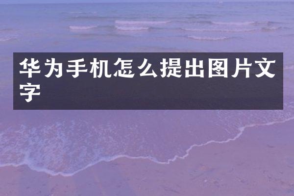 华为手机怎么提出图片文字