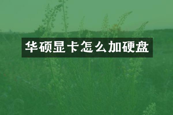 华硕显卡怎么加硬盘