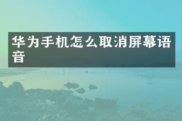 华为手机怎么取消屏幕语音